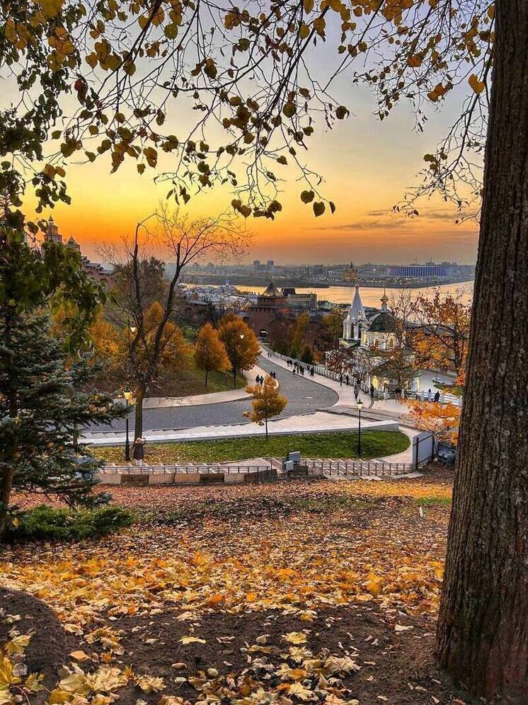 Тина Канделаки откроет ресторан в Нижнем Новгороде
