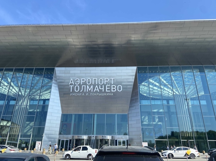 Шесть рейсов задерживают прилёт в новосибирский аэропорт Толмачёво