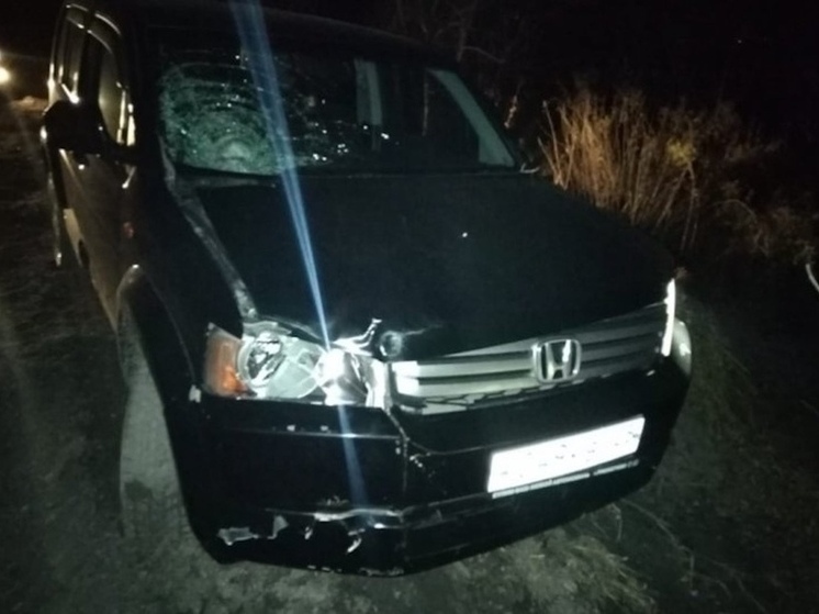 В Партизанске пьяный водитель насмерть сбил пешехода на обочине