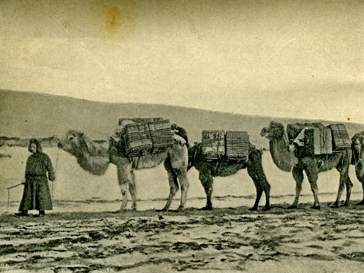 Записки хронолога