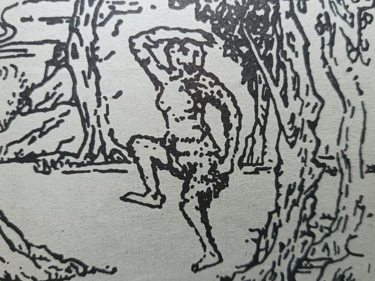 Планета китов и дельфинов, гномов и йети