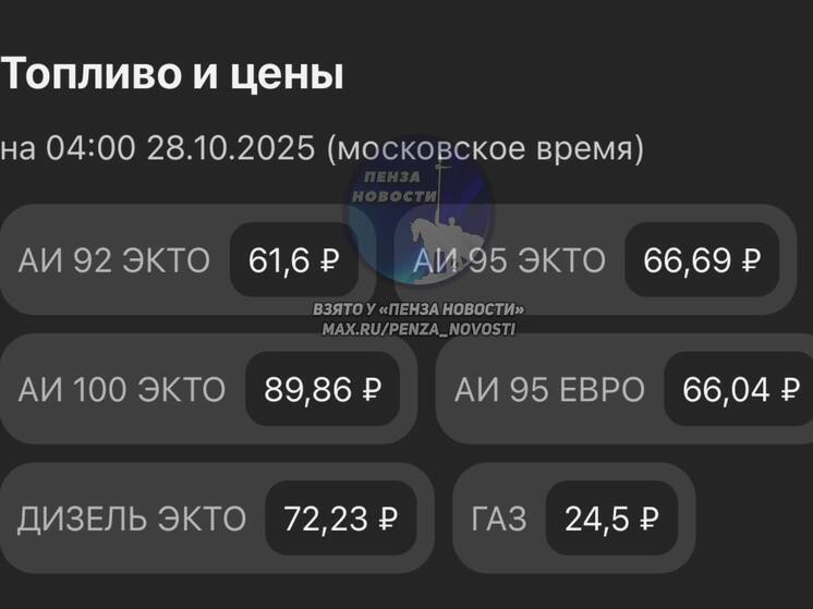 Пензенские автовладельцы отмечают рост цен на топливо