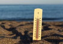 Рост температуры убивает по одному человеку в минуту во всем мире, говорится в новом крупном отчете