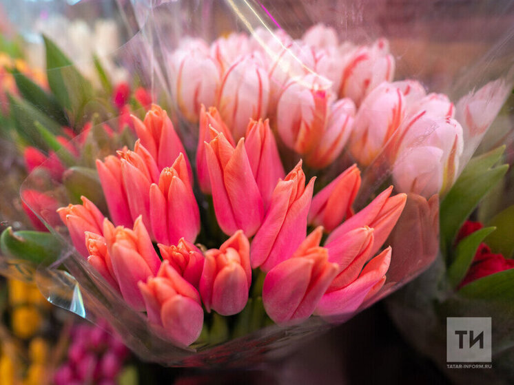 В Набережных Челнах к 8 марта высадят 25 тысяч луковиц тюльпанов