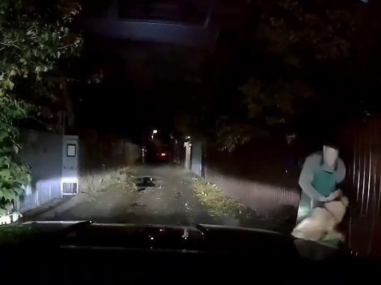 В Ростове алабай напал на женщину, разорвав ей лицо и откусив пальцы