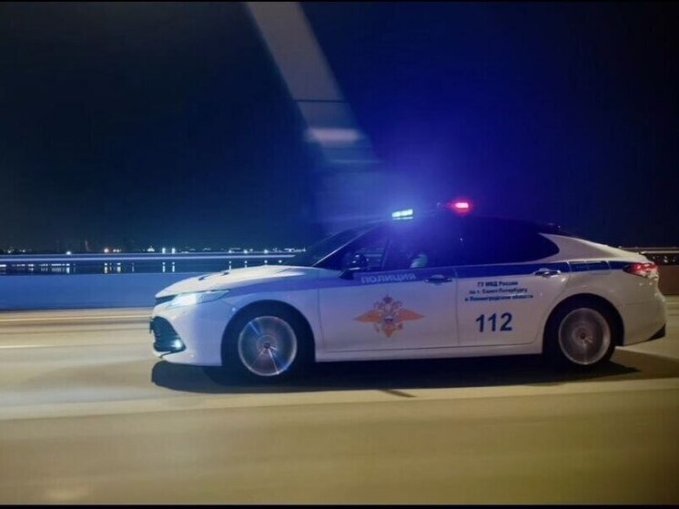 Полиция в октябре поймала 800 нетрезвых водителей в Ленобласти и Петербурге