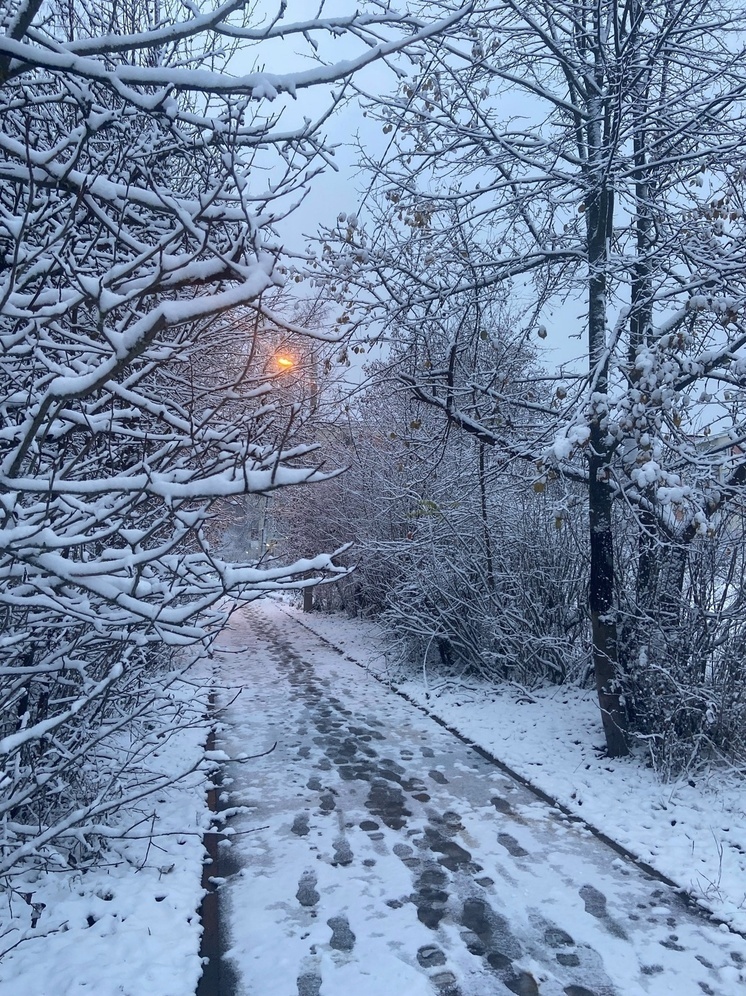 Синоптик Позднякова: снег в московском регионе ожидается в середине ноября