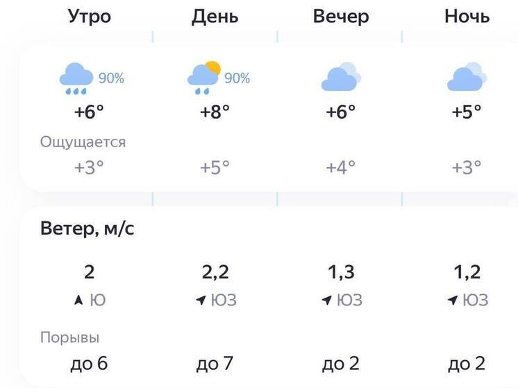 29 октября пензенцев ожидает дождливый день