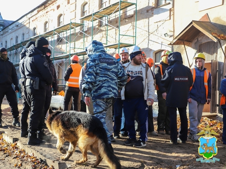 В Псковской области выявили 160 нарушений миграционного законодательства