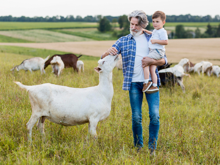 Кировская область направит 12,8 млн рублей на поддержку семейных ферм