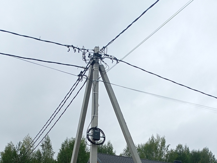 Кировские энергетики продолжают борьбу с «пиратским» интернетом