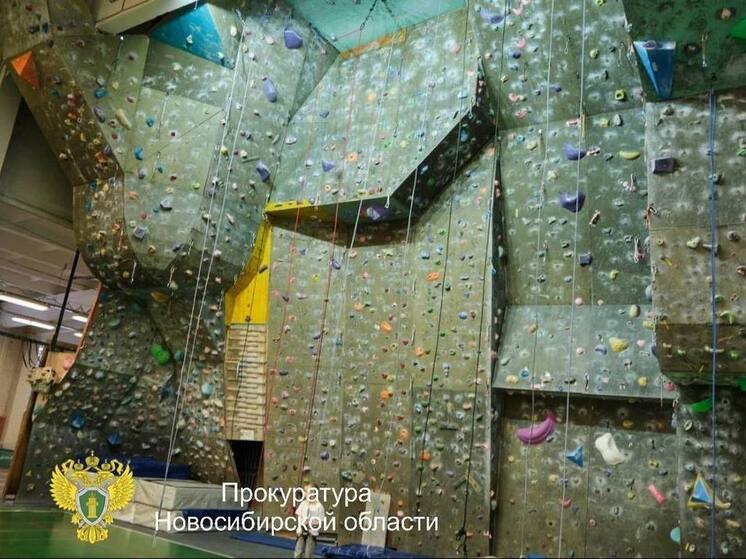 Владелицу скалодрома в Новосибирске осудили на условный срок за гибель посетителя