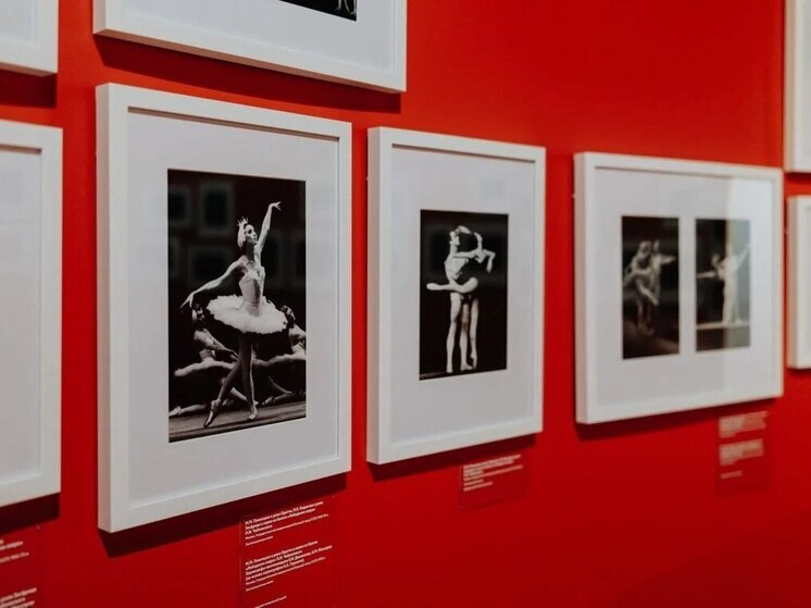 Павел Малков сообщил об открытии выставки «Плисецкая. Полюс магии» в Рязани