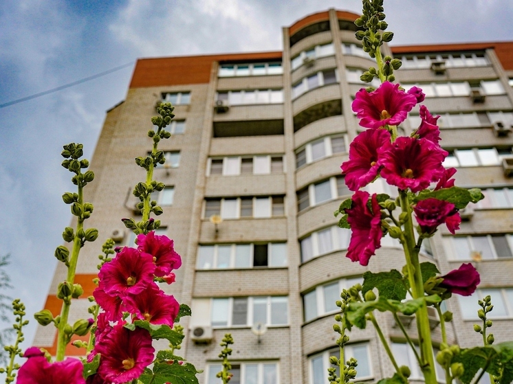 Жителям Тульской области запретят брать две льготные ипотеки на семью