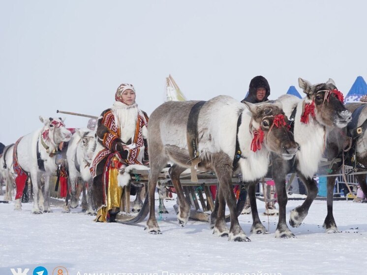 Ямальские кочевники могут пользоваться «Госуслугами» в тундре