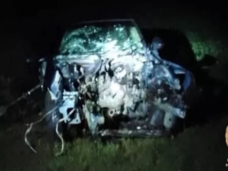 В Ростовской области в жестком ДТП пострадали двое взрослых и три ребенка