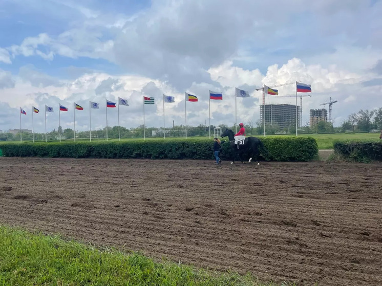 Законность передачи ростовского ипподрома в частную собственность проверит генпрокуратура