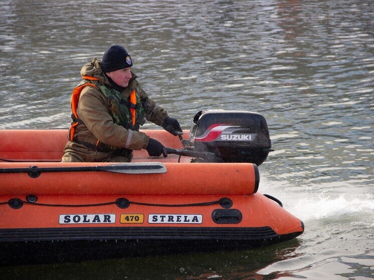 Под Тулой в пруду обнаружено тело утонувшей женщины