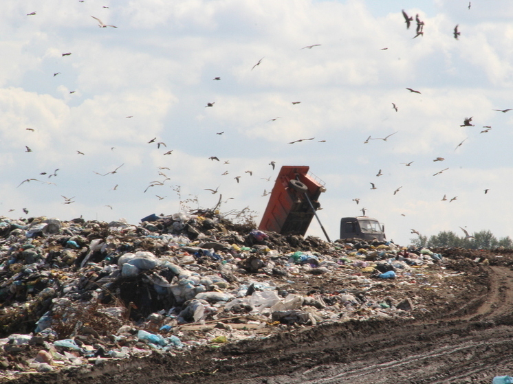 В Алтайском крае в скором времени начнется судебный процесс над предпринимателем из Новосибирска, которого связывают с коррупционными и мошенническими схемами на барнаульском полигоне ТБО