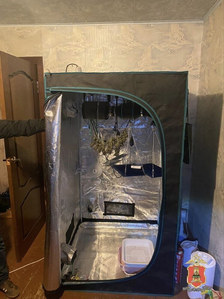 Житель Тверской области организовал в своей квартире ферму по выращиванию конопли