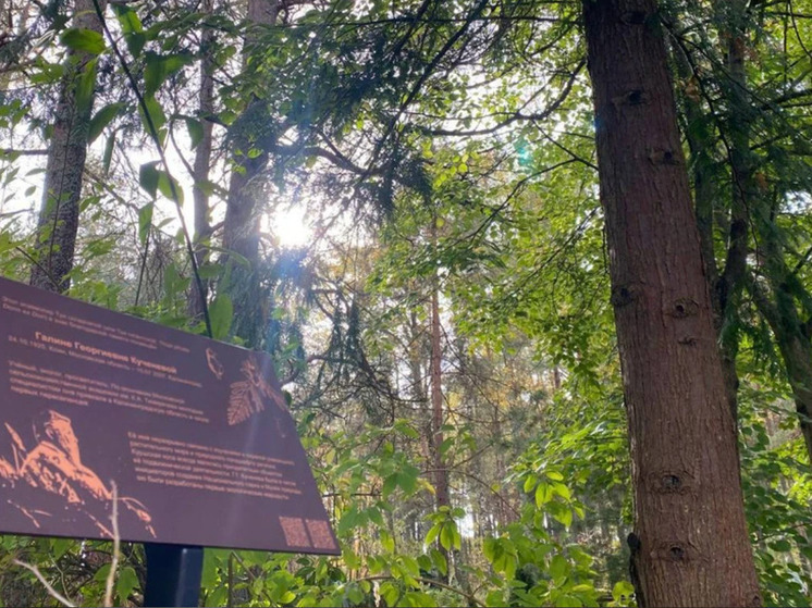 На Куршской косе установили памятную табличку в честь спасшего деревья учёного