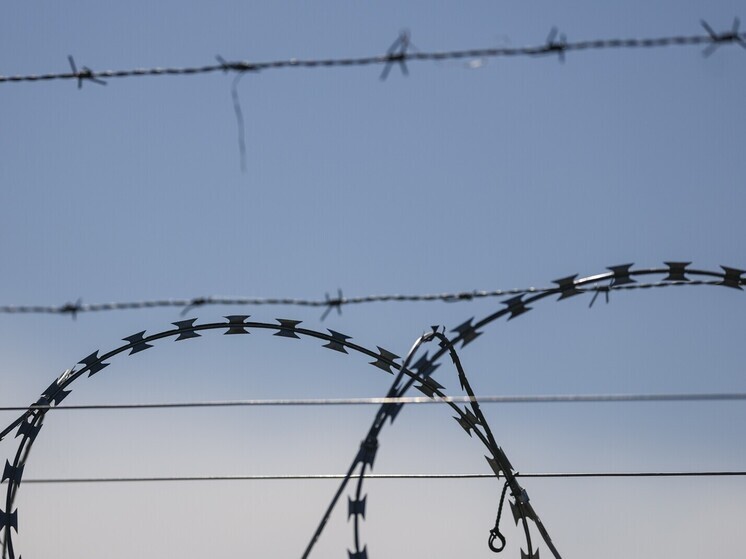 Заключённые обещают убить экс-президента Франции Саркози, чтобы отомстить за Каддафи