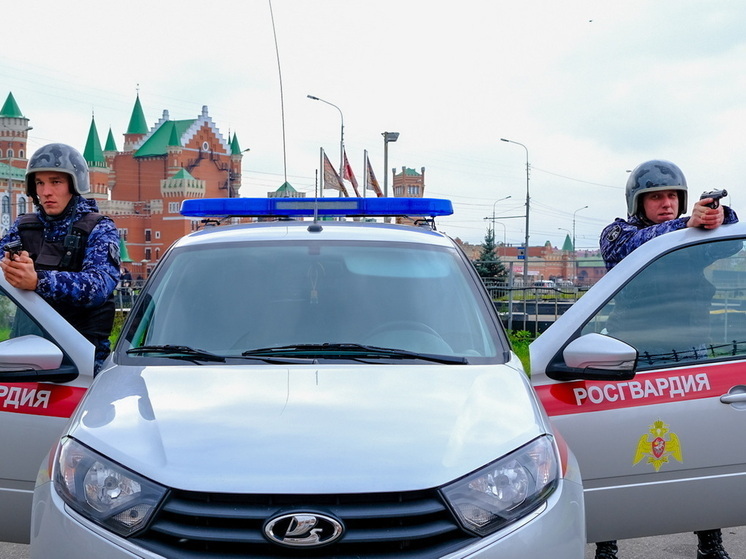 29 октября – День образования подразделений вневедомственной охраны Росгвардии