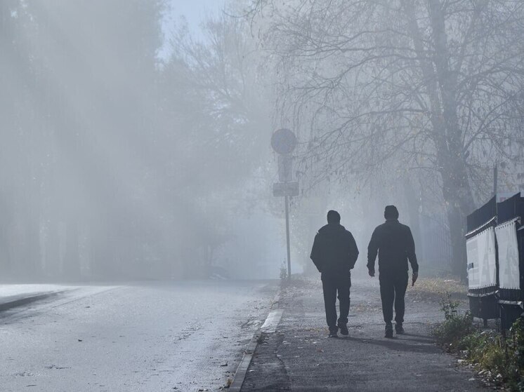 Пензенские водители и пешеходы столкнулись с туманом 29 октября