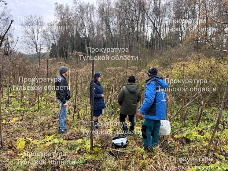В Заокском районе проверяют возможный сброс сточных вод в приток реки Скнижка