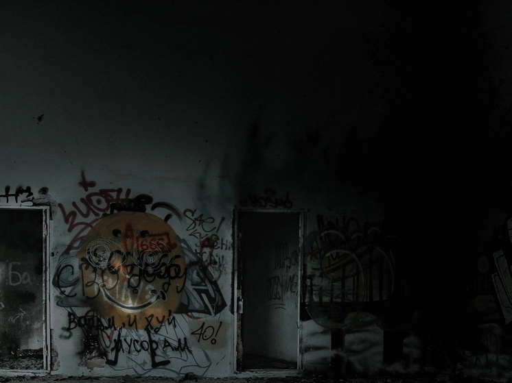 В центре Омска продают бывшую столовую ветеринарного института