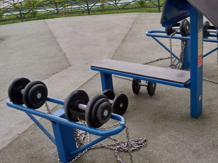 Физическая активность помогает поддерживать здоровье, укреплять мышцы и снижать риск хронических заболеваний. Однако эффективность тренировок определяется не только количеством занятий, но и тем, насколько грамотно они построены. Хороший тренировочный план должен обеспечивать баланс между силовой нагрузкой и кардио, а также оставлять время для восстановления организма. Без отдыха мышцы не растут, а переутомление может привести к травмам и снижению мотивации.