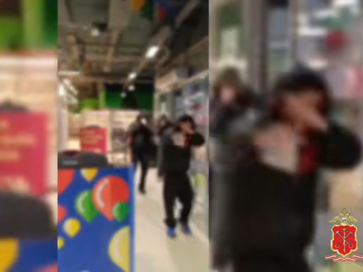 Всеволожские школьники ограбили два продовольственных магазина и попались