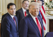 Новый анализ 187 случаев использования президентом США Дональдом Трампом жеста «пожатие плечами» во время предвыборных митингов 2016 года показал, что этот спонтанный жест на самом деле тщательно отработанный инструмент политической коммуникации