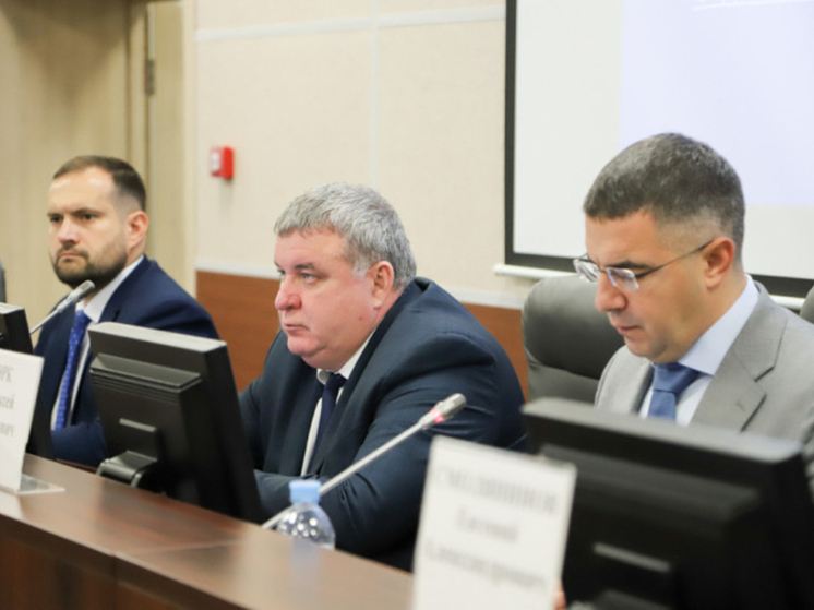 Тульские депутаты одобрили дополнительные льготы на платные парковки