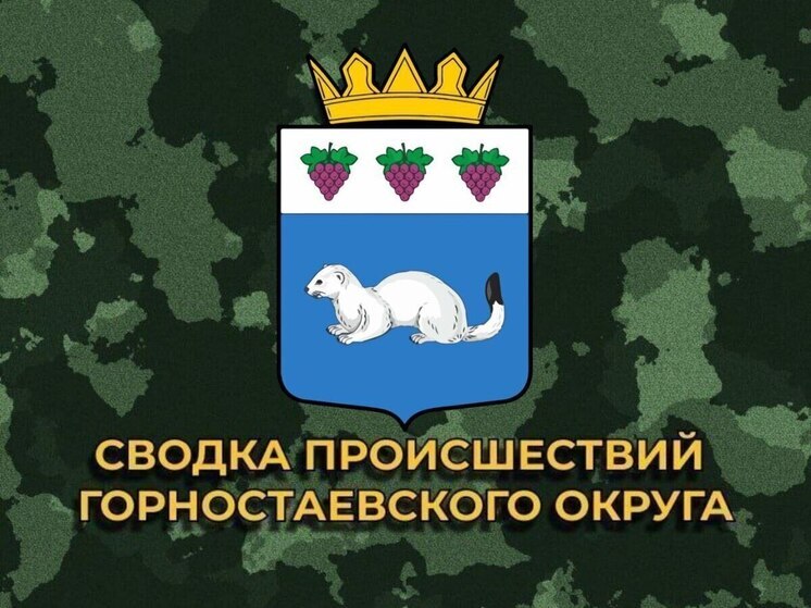 За сутки ВСУ 10 раз обстреляли Горностаевский округ