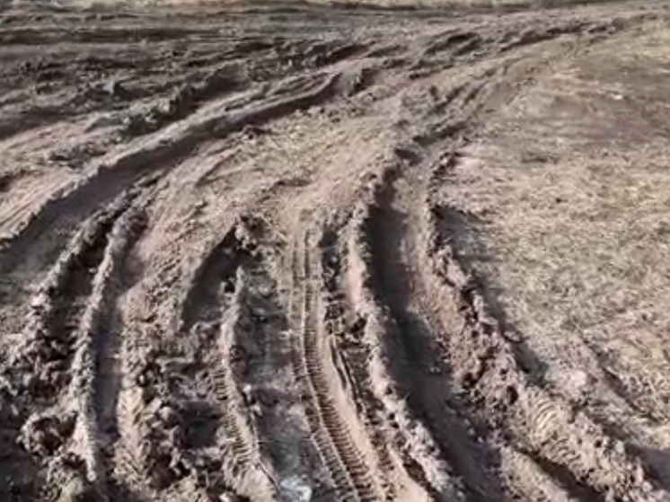 Глава СК потребовал отчет по делу об ужасной дороге в село Ендовище под Воронежем