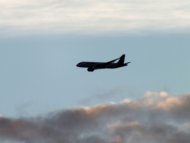 Вместо передачи миграционным службам насильника по ошибке освободили из тюрьмы
