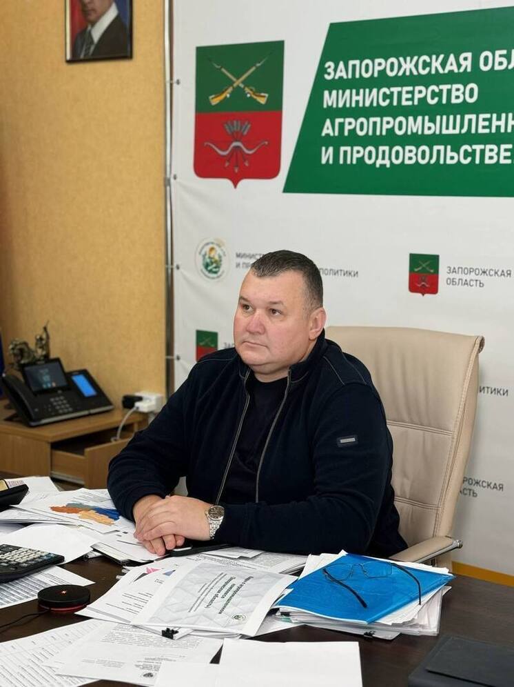 В Запорожской области планируется засеять озимыми культурами около 482 тысяч гектаров