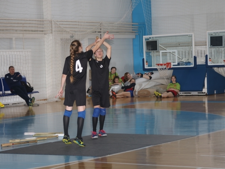 Первенство Тюменской области по мини‑лапте пройдёт в посёлке Боровский