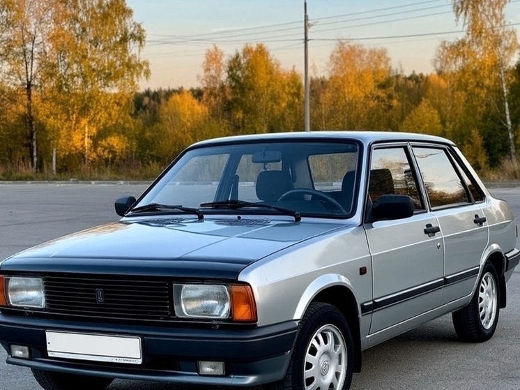 Автомобили Правительства Ростовской области в очередной раз не смогли продать за бесценок