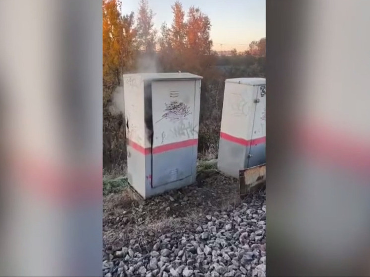 Молодые жители Петербурга устроили поджог за 400 долларов и попали под стражу