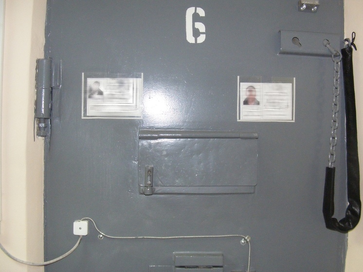 Молодой вологжанин лишился свободы за попытку обокрасть магазин