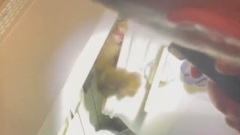 Московские спасатели освободили кошку, застрявшую лапой в батарее