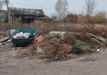 В социальных сетях житель Сердобска обратился к губернатору Пензенской области Олегу Мельниченко с жалобой на затянувшееся решение проблемы вывоза мусора и благоустройства контейнерной площадки на переулке Красном. Несмотря на официальные обещания администрации, по словам горожанина, ситуация за пять месяцев только ухудшилась.