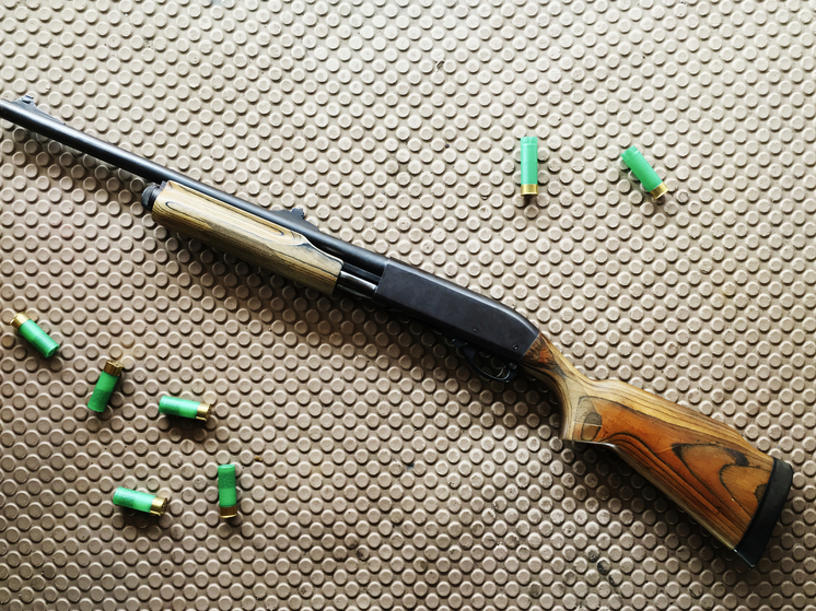 Под Воронежем мужчина открыл стрельбу из дробовика по женщине с собаками