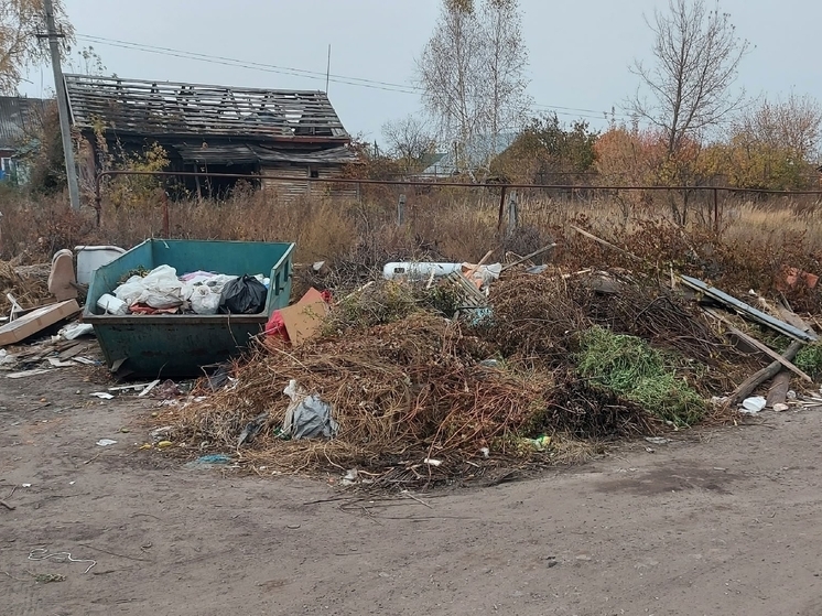 Житель Сердобска пожаловался губернатору на мусорную площадку: власти пообещали решить вопрос