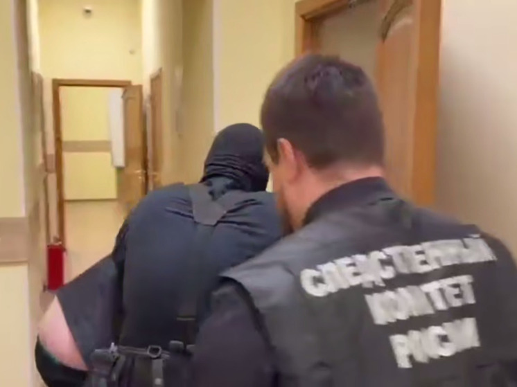 В Петербурге задержали двоих новых подозреваемых по делу о похищениях и разбое