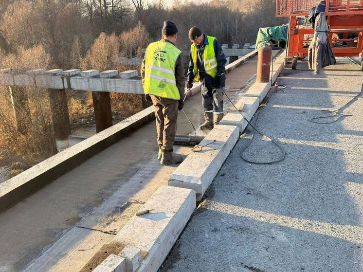 В Новосибирске назвали дату полного открытия моста через Иню