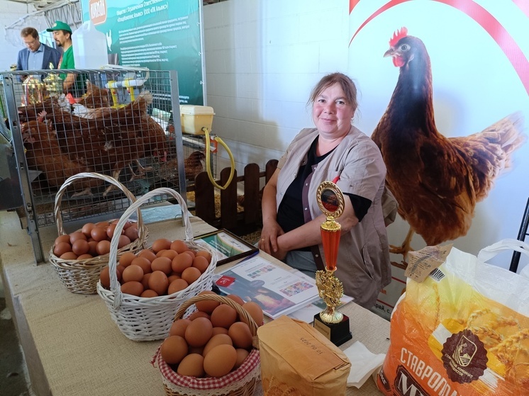 Предприниматели Ставрополья получили свыше 1300 нефинансовых услуг