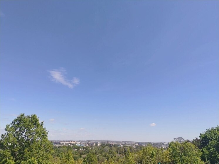 Подразделения «Орлан» и «БАРС-Белгород» ликвидировали 35 дронов за сутки